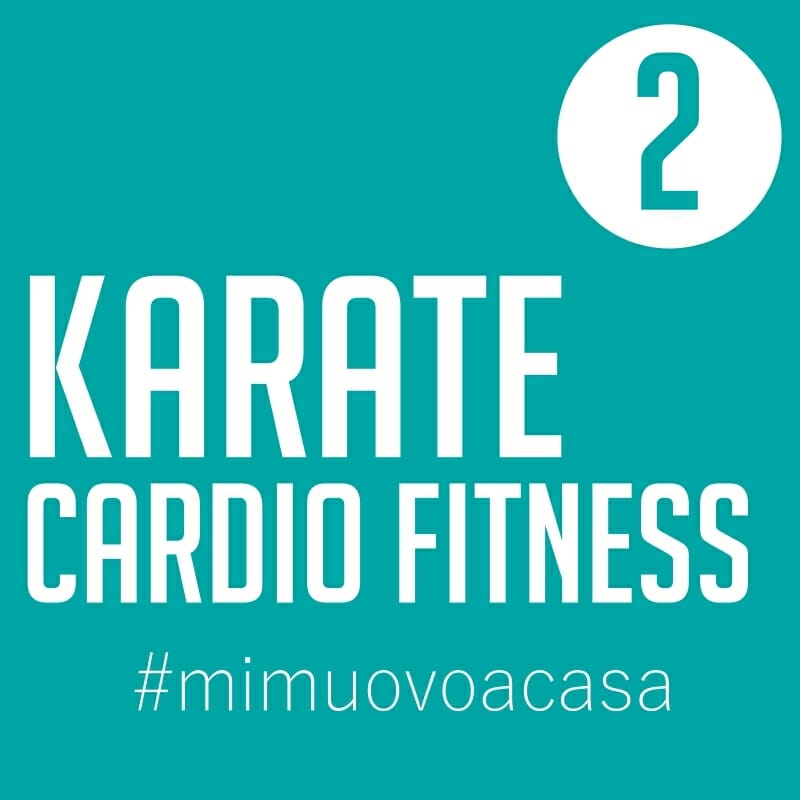 karate-cardio-fitness-video-img2